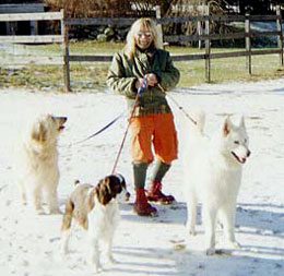 Ike with Jake, Roxy and Scout (dogs)